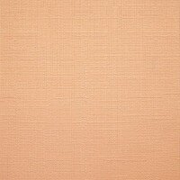 2071 Apricot